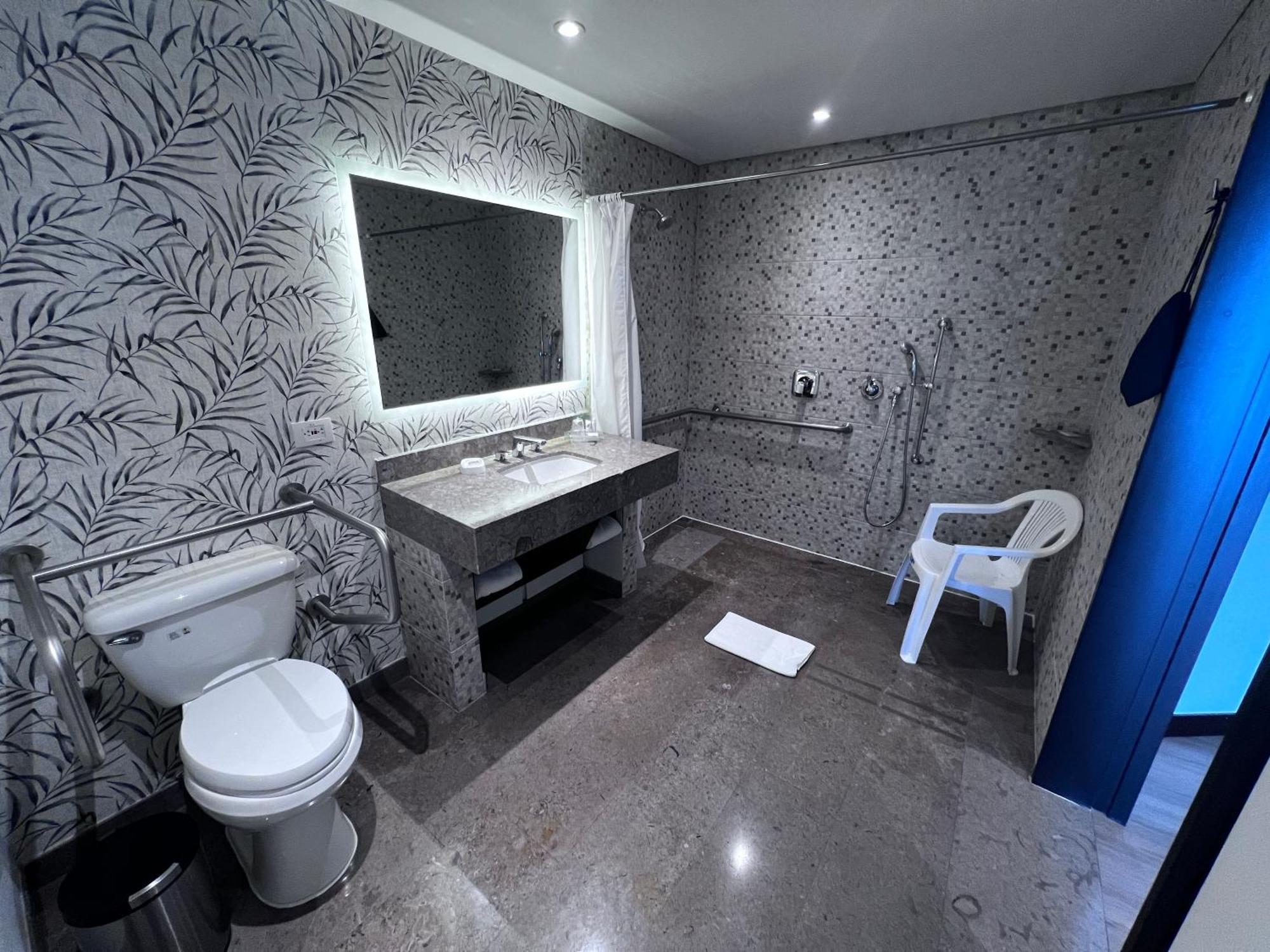 Standard King Room Accessible